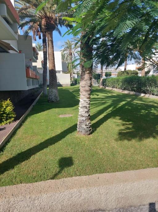 Lovely Apartment With Pool Costa Del Silencio Exterior photo