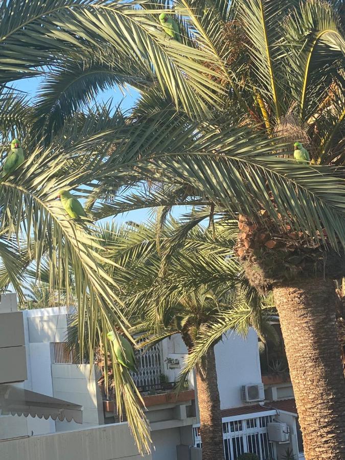 Lovely Apartment With Pool Costa Del Silencio Exterior photo